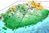 DEVELOPMENT DRILLING OPTIMIZATION NEAR THE SALT DIAPIR